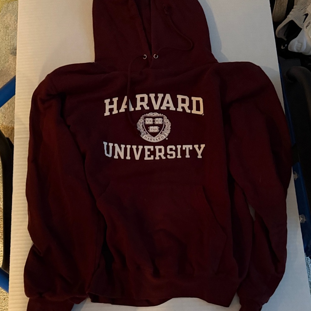 Champion Maroon Hoodie